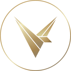 Valinity DeFi logo